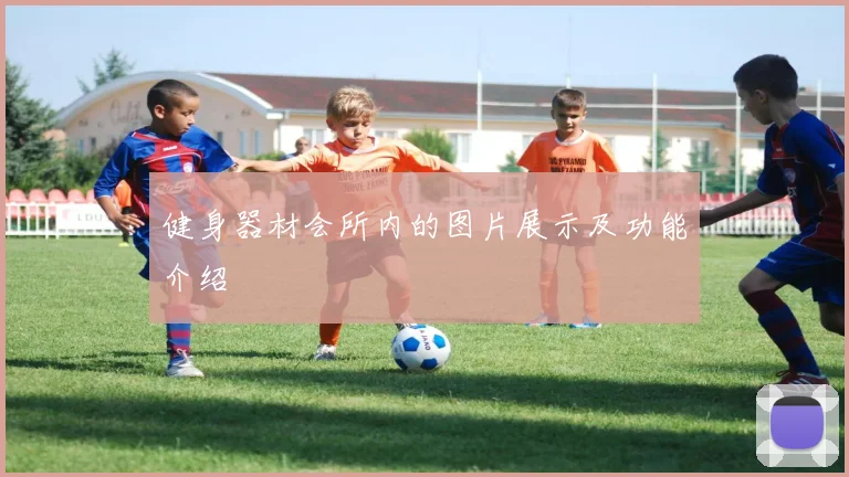 健身器材会所内的图片展示及功能介绍