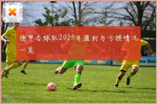 德甲各球队2025年盈利与亏损情况一览