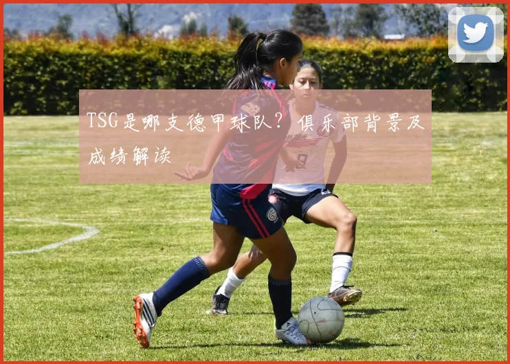 TSG是哪支德甲球队？俱乐部背景及成绩解读
