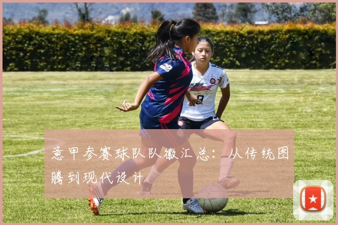 意甲参赛球队队徽汇总：从传统图腾到现代设计