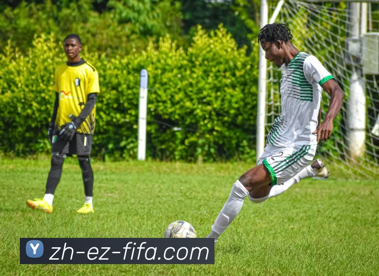 世界杯赛程平台生态图